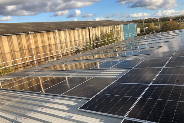 Investing in a Greener Future