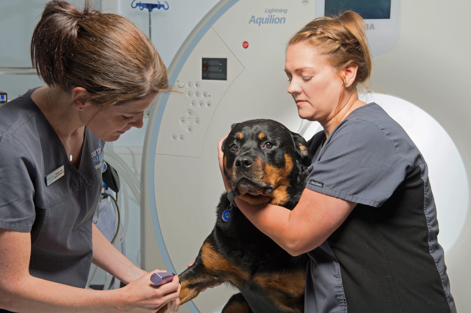 Veterinary practices Midland Lead